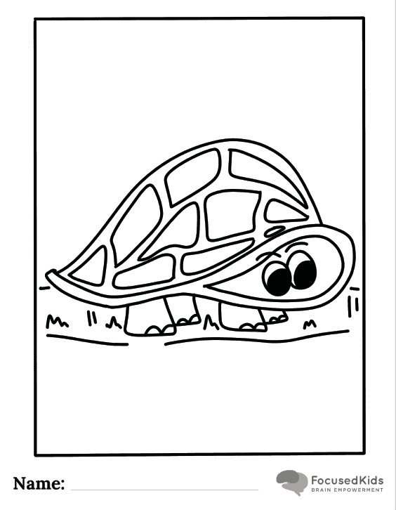 FocusedKids Coloring Page Download: Turtle